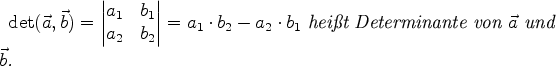 \begin{definition}
$\det(\vec{a},\vec{b})=
\begin{vmatrix}
a_{1}&b_{1}\\
a_...
...Determinante von
$\vec{a}$\ und $\vec{b}$.\index{Determinante}
\end{definition}