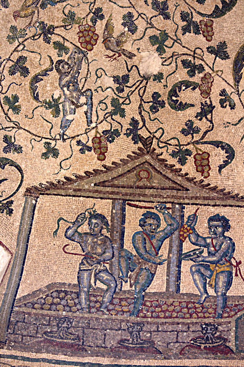 Kelterung des Weines