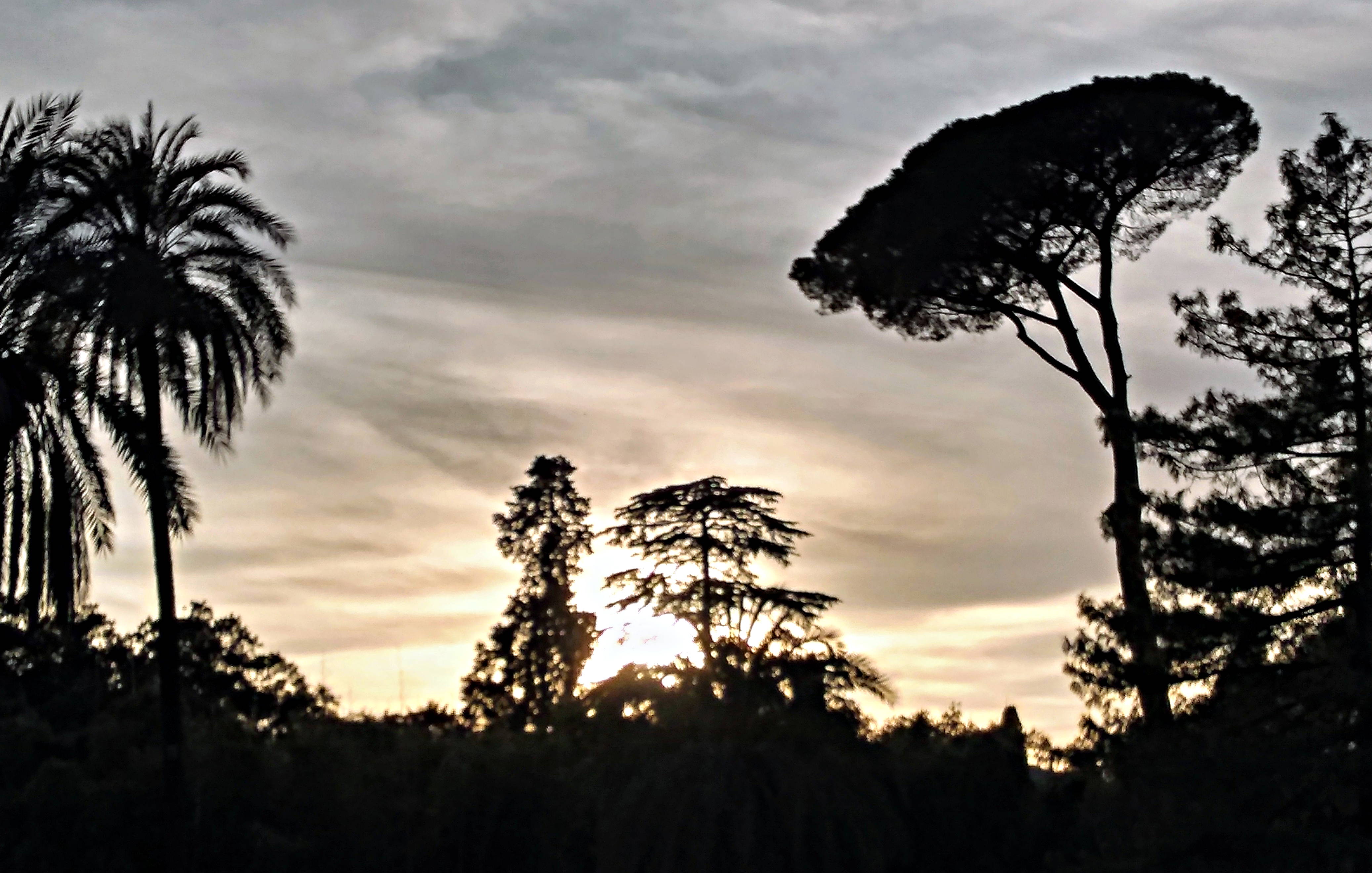 Sonnenuntergang in der Villa Torlonia